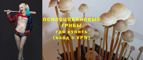 альфа пвп Армянск