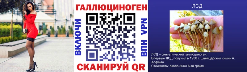 Псилоцибиновые грибы Psilocybine cubensis  мега зеркало  Сысерть 